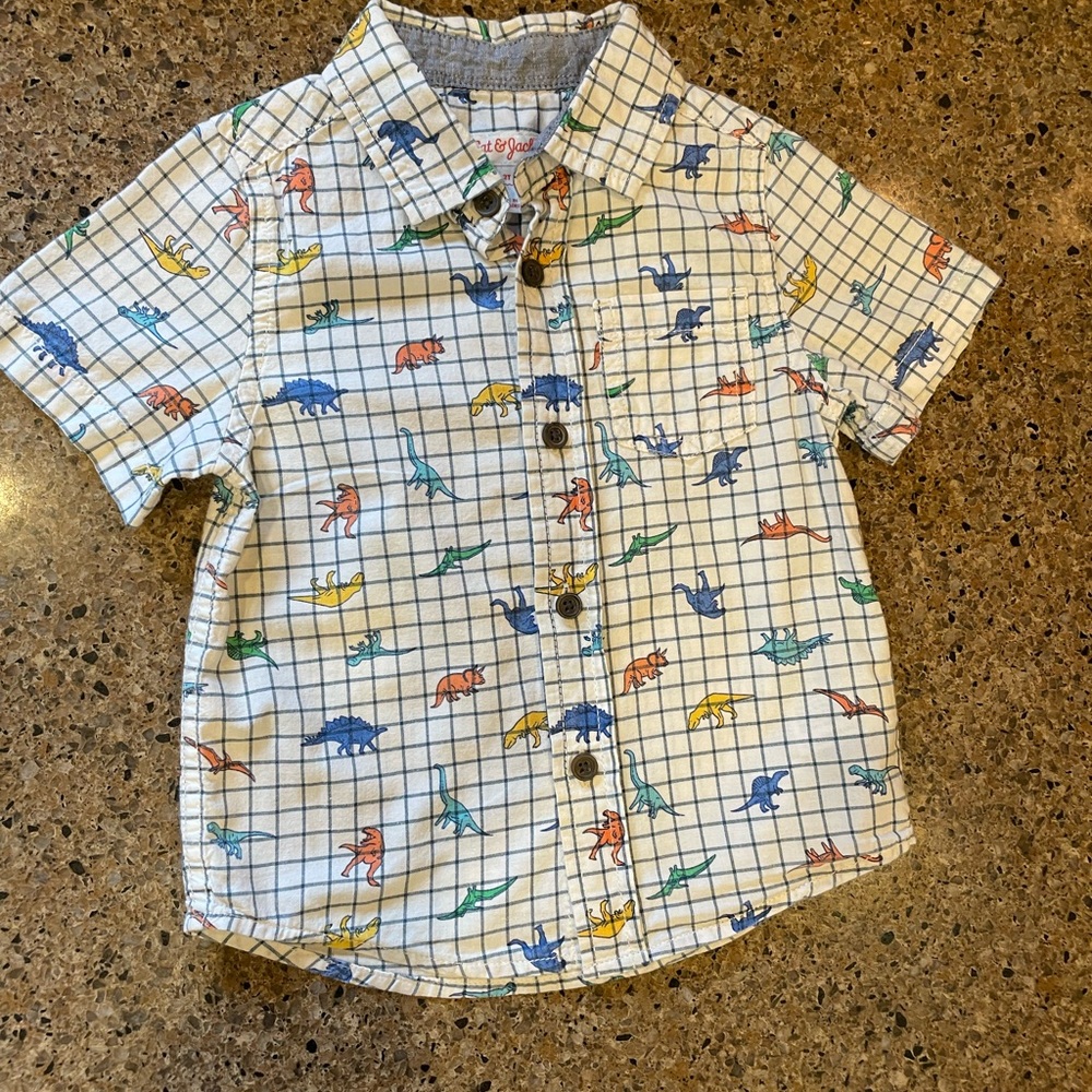 Cat & Jack Kids Dinosaur Grid Shirt - Multicolor